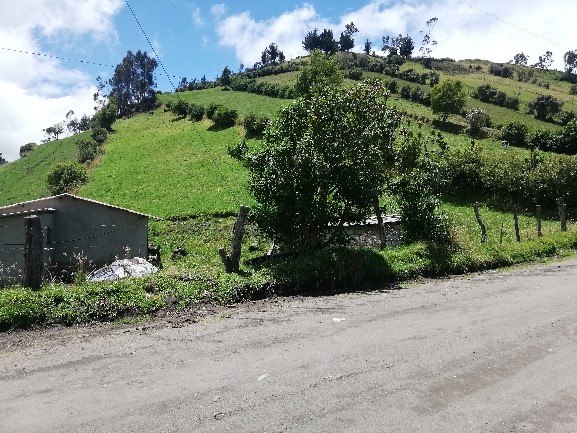 Foto del inmueble en San Vicente de Luto