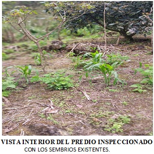 Foto del portal de remates judiciales