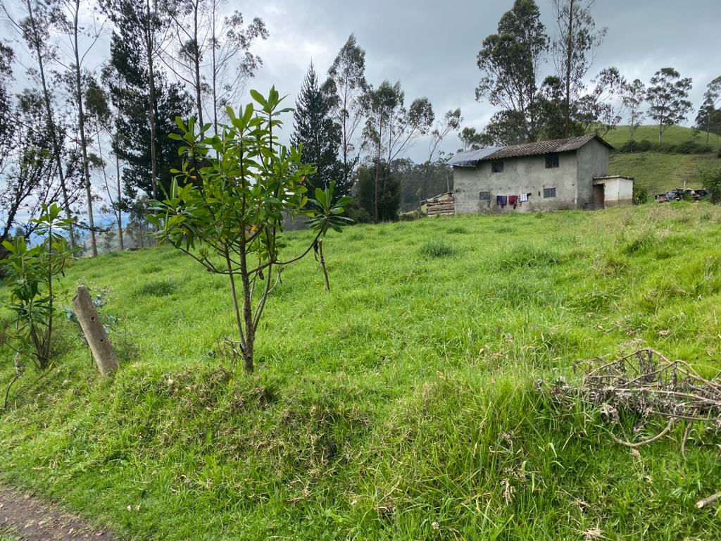 Foto del portal de remates judiciales
