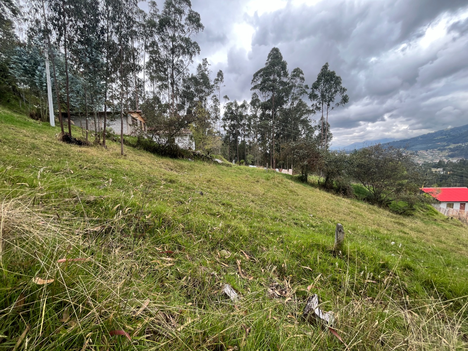 Foto del portal de remates judiciales