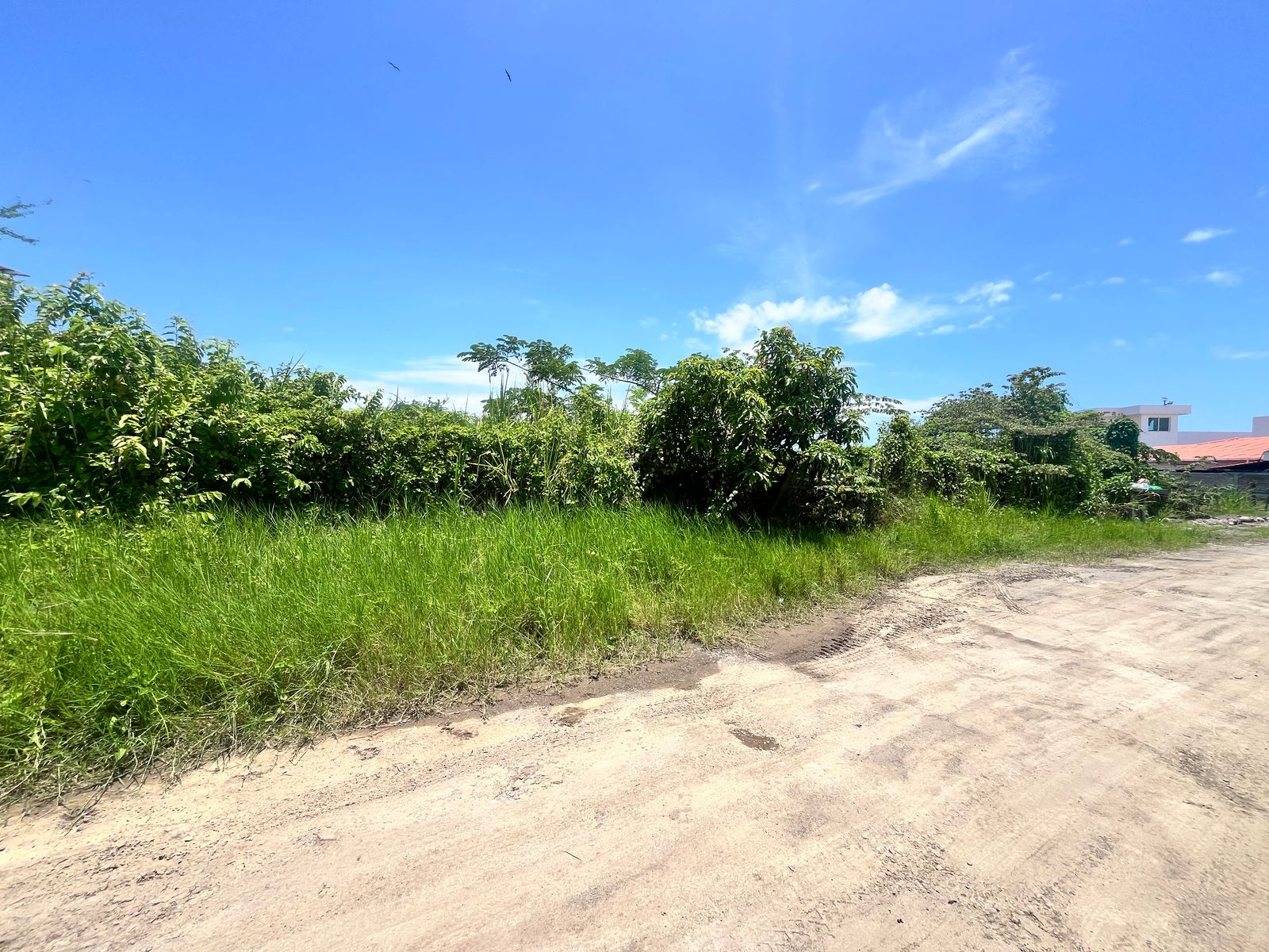 Foto del inmueble en Pedernales