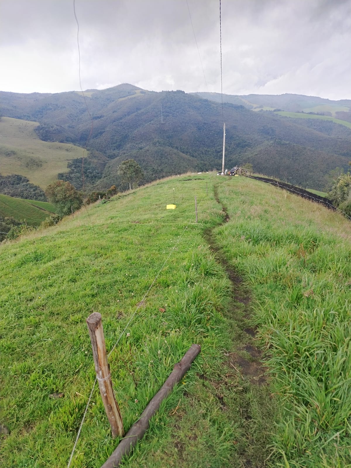 Foto del portal de remates judiciales