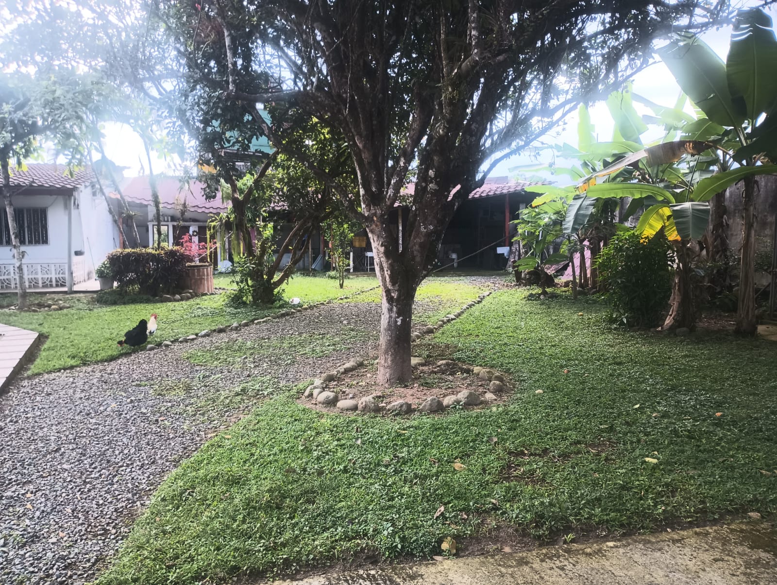 Foto del portal de remates judiciales