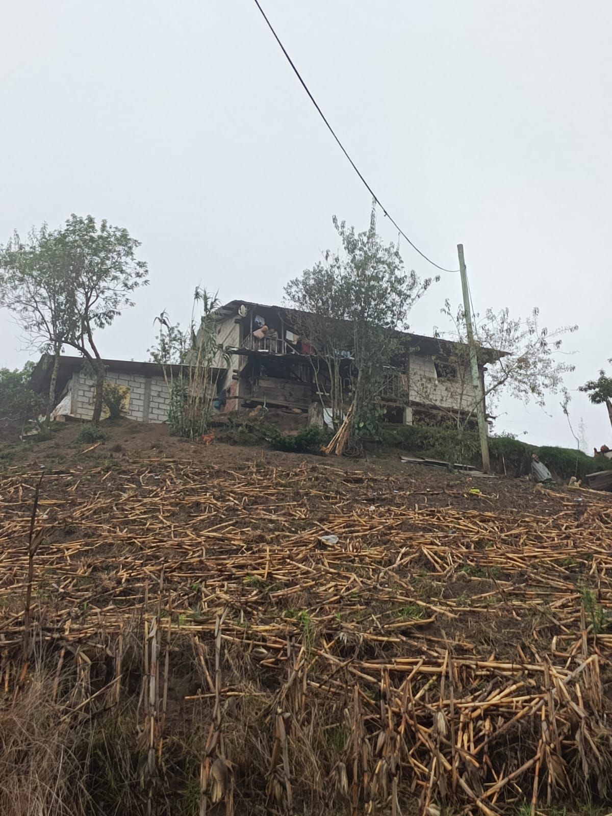 Foto del inmueble en San Lorenzo; El Sauce