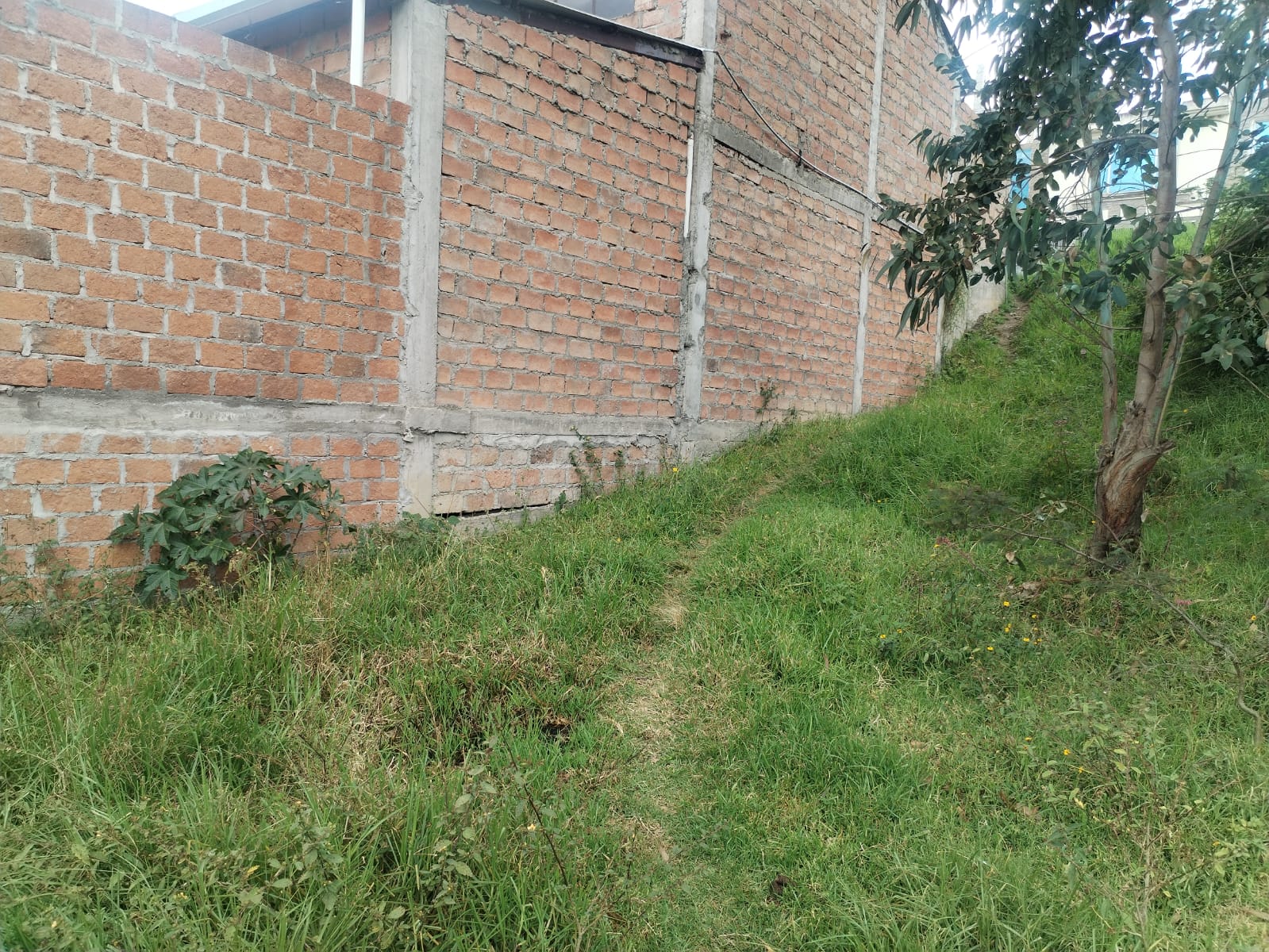 Foto del portal de remates judiciales
