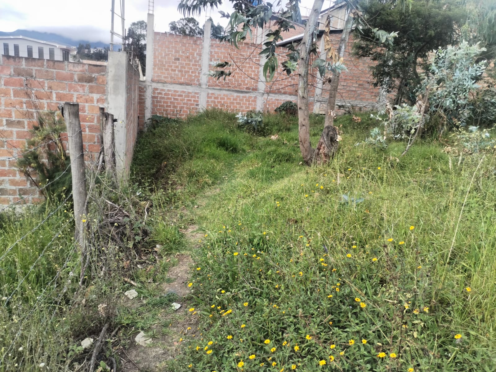 Foto del portal de remates judiciales