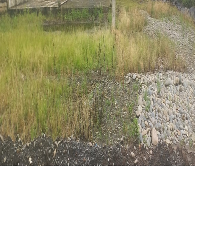 Foto del inmueble en •	sector “la Caoba”.
