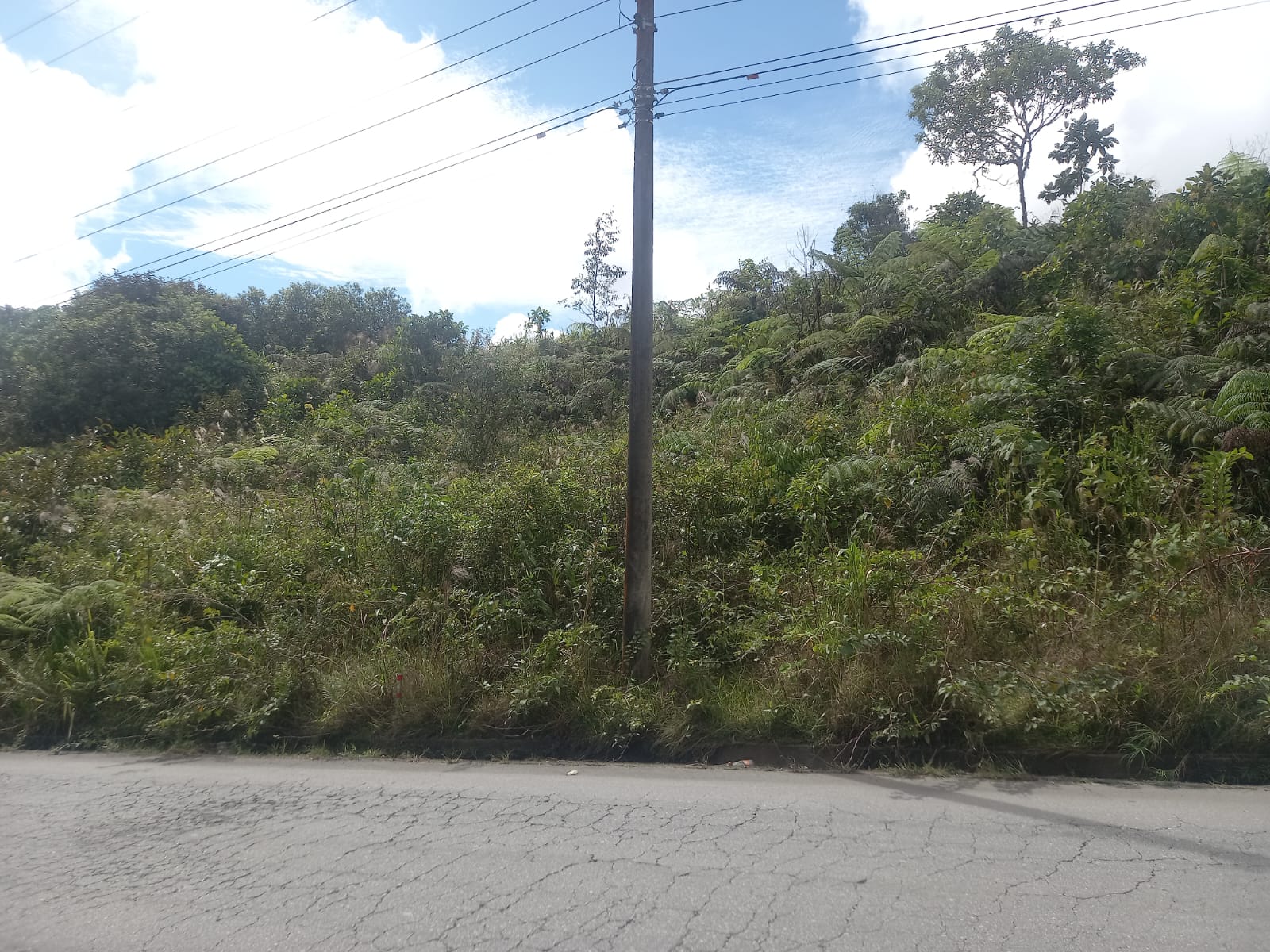 Foto del portal de remates judiciales