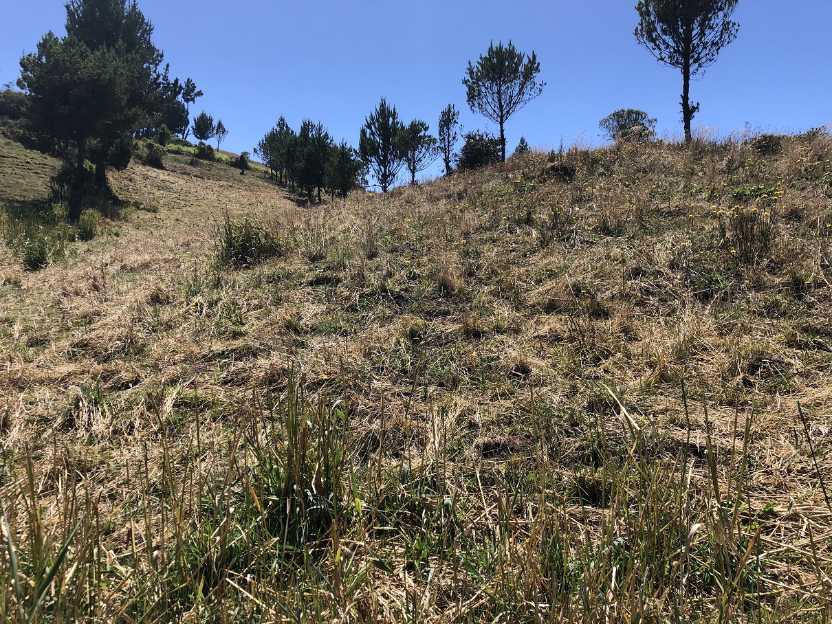 Foto del inmueble en Totoras Curiquingue - Guanujo