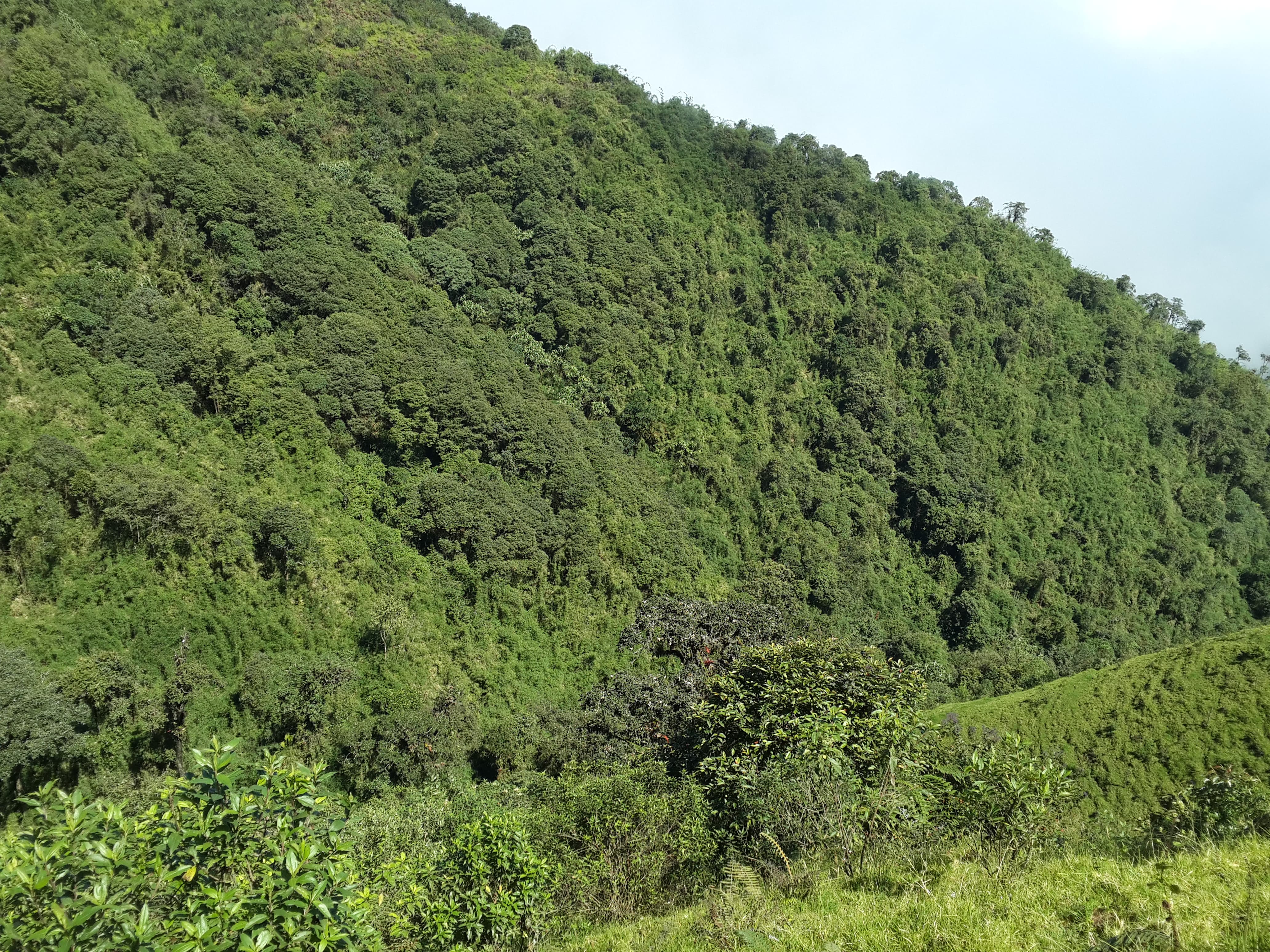 Foto del inmueble en Parroquia Julio Moreno - Sector Pava Guachana - El Espino