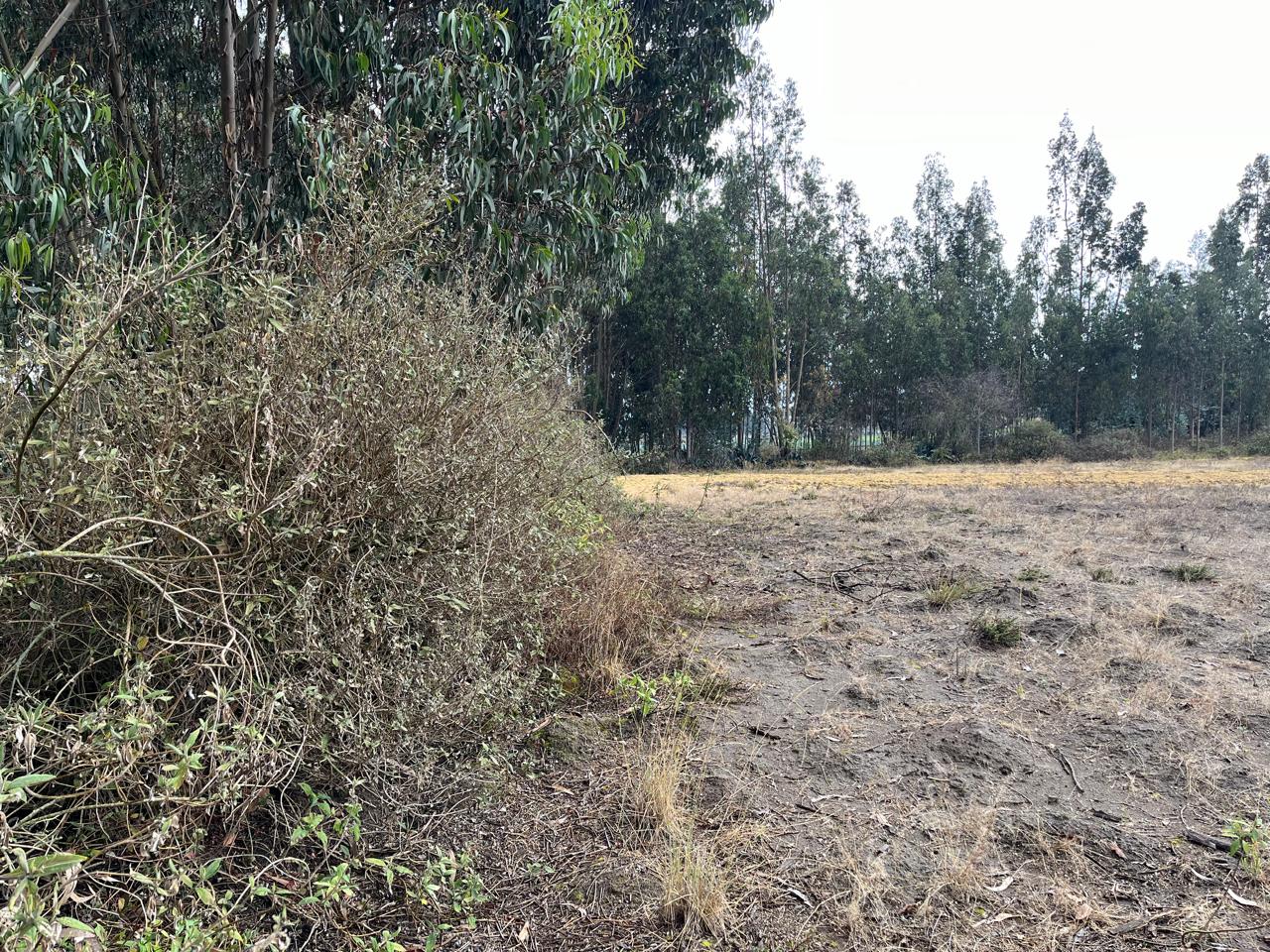 Foto del inmueble en Rural Parroquia Poalo