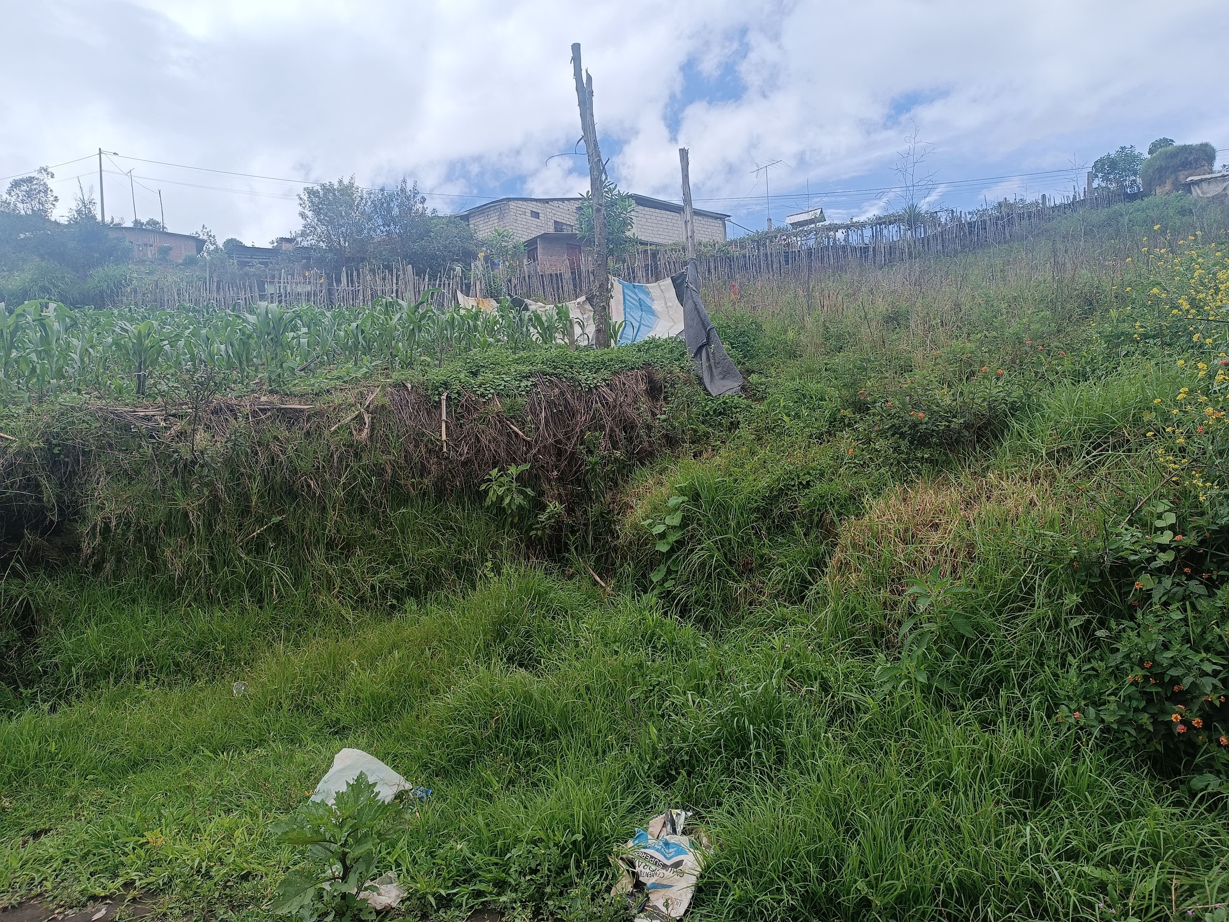 Foto del portal de remates judiciales