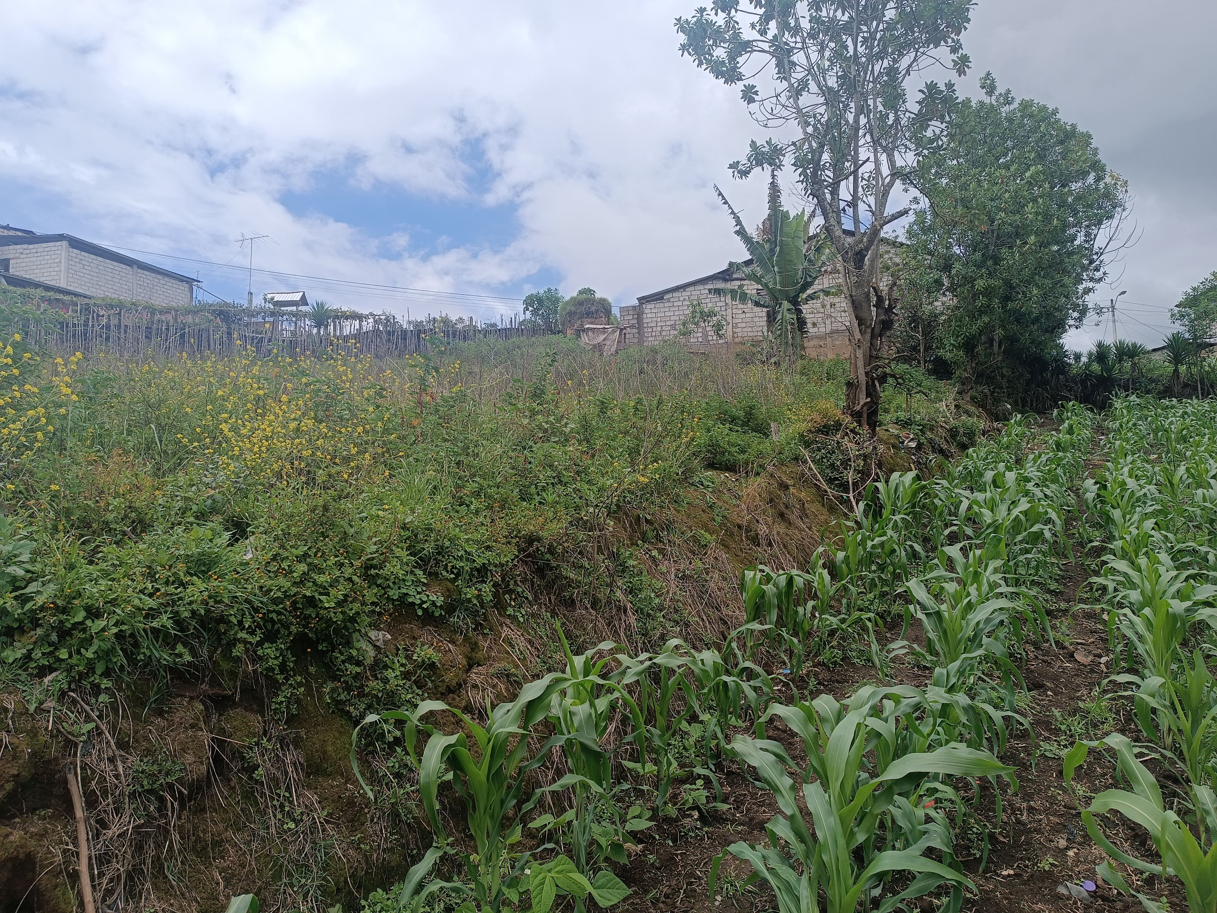 Foto del portal de remates judiciales