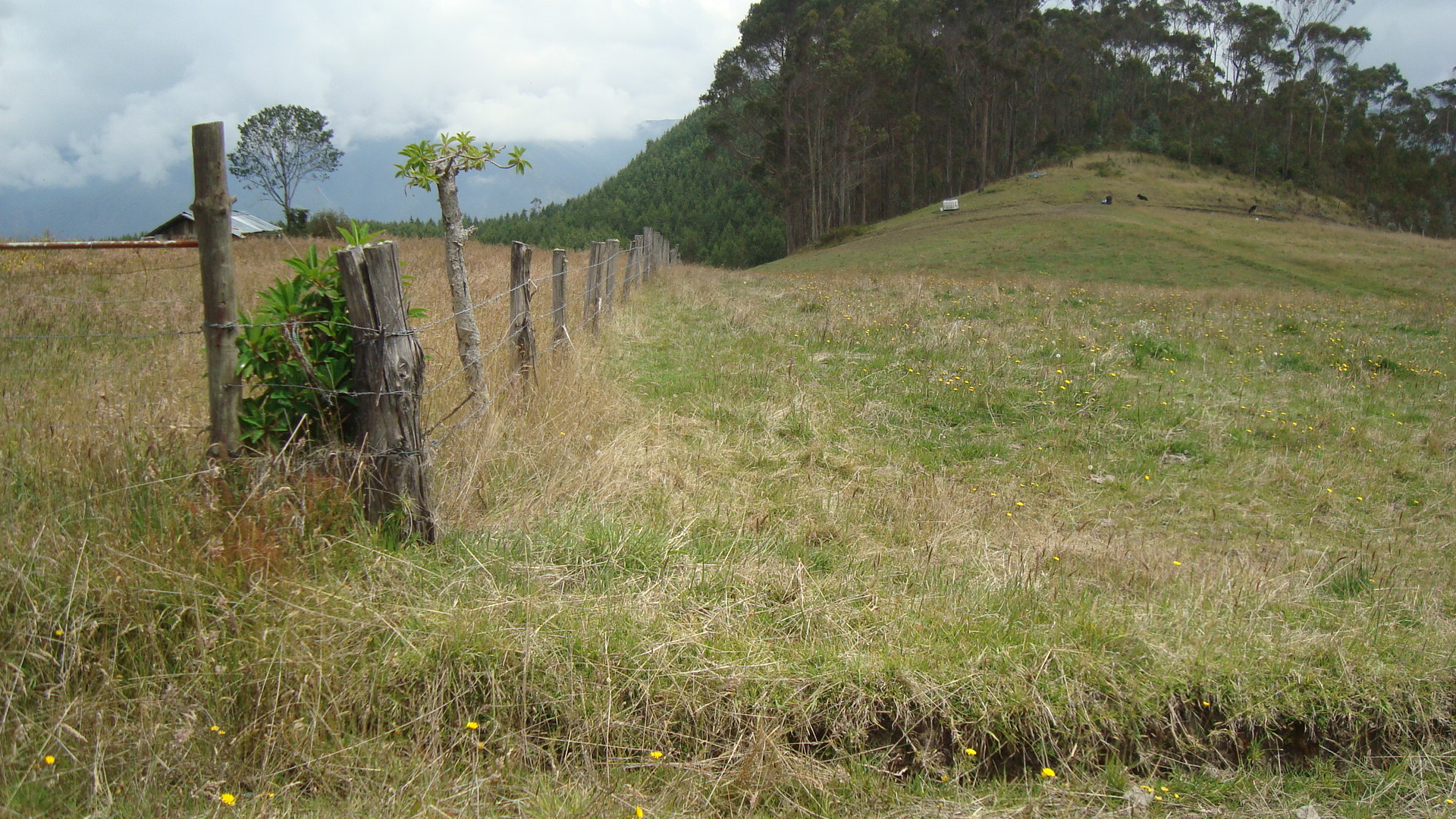 Foto del inmueble en Pangaladera, Pan de Azúcar-laguna Roja