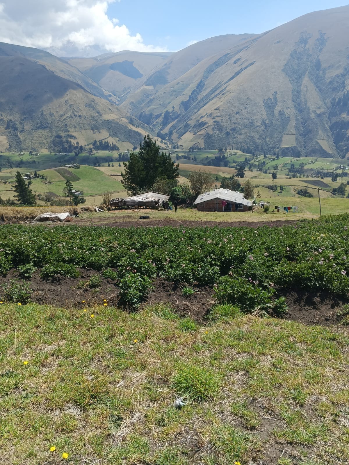 Foto del inmueble en Quindigua-puajaca