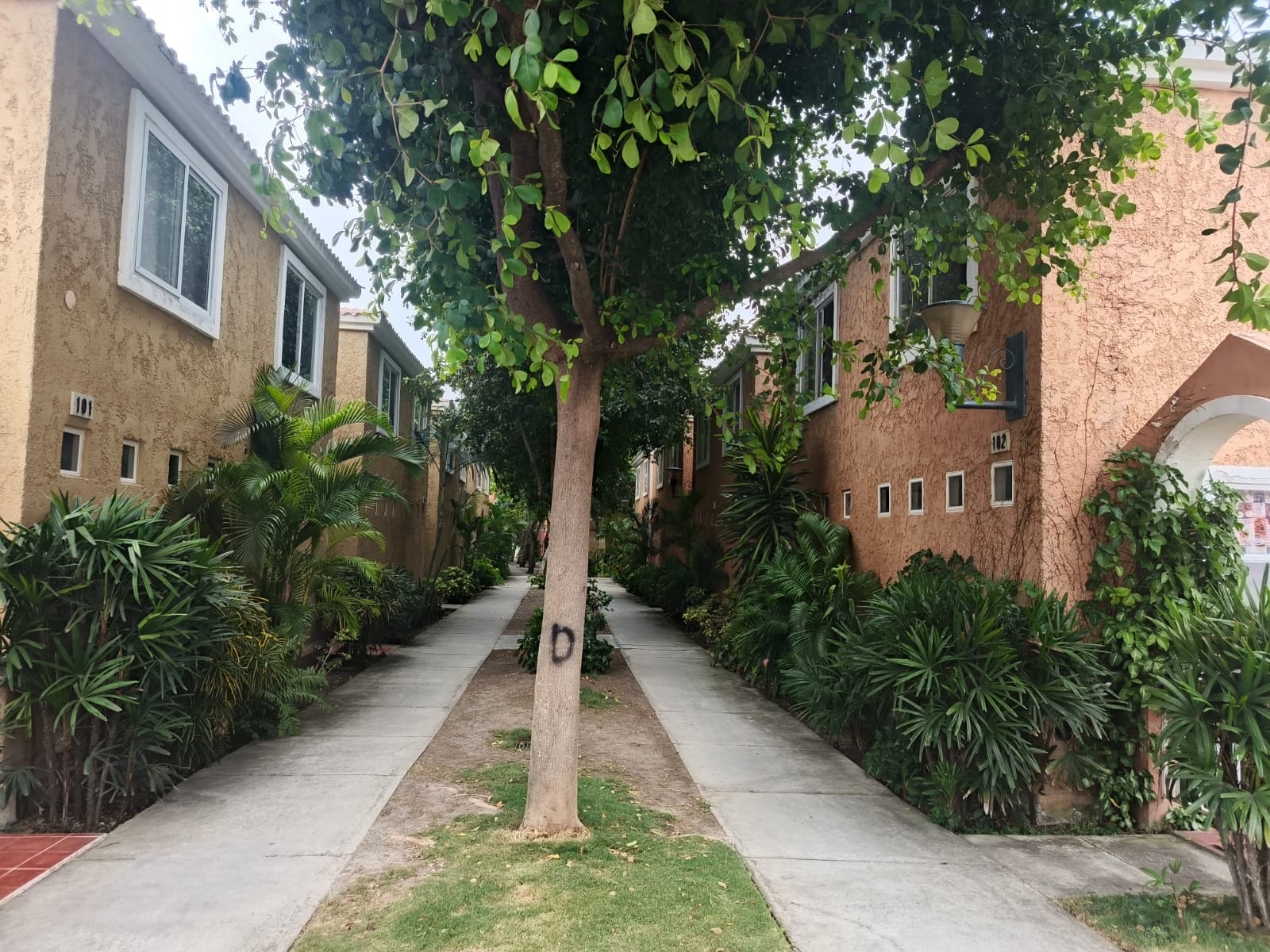 Foto del inmueble en Urbanizacion Arboleda