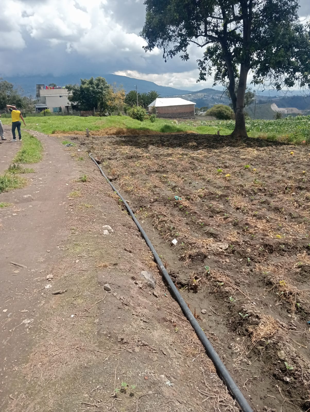 Foto del inmueble en Provincia	tungurahua  Cantón	ambato  Parroquia	izamba Sector/barrio	quillan Loma Alto   Calles	sn