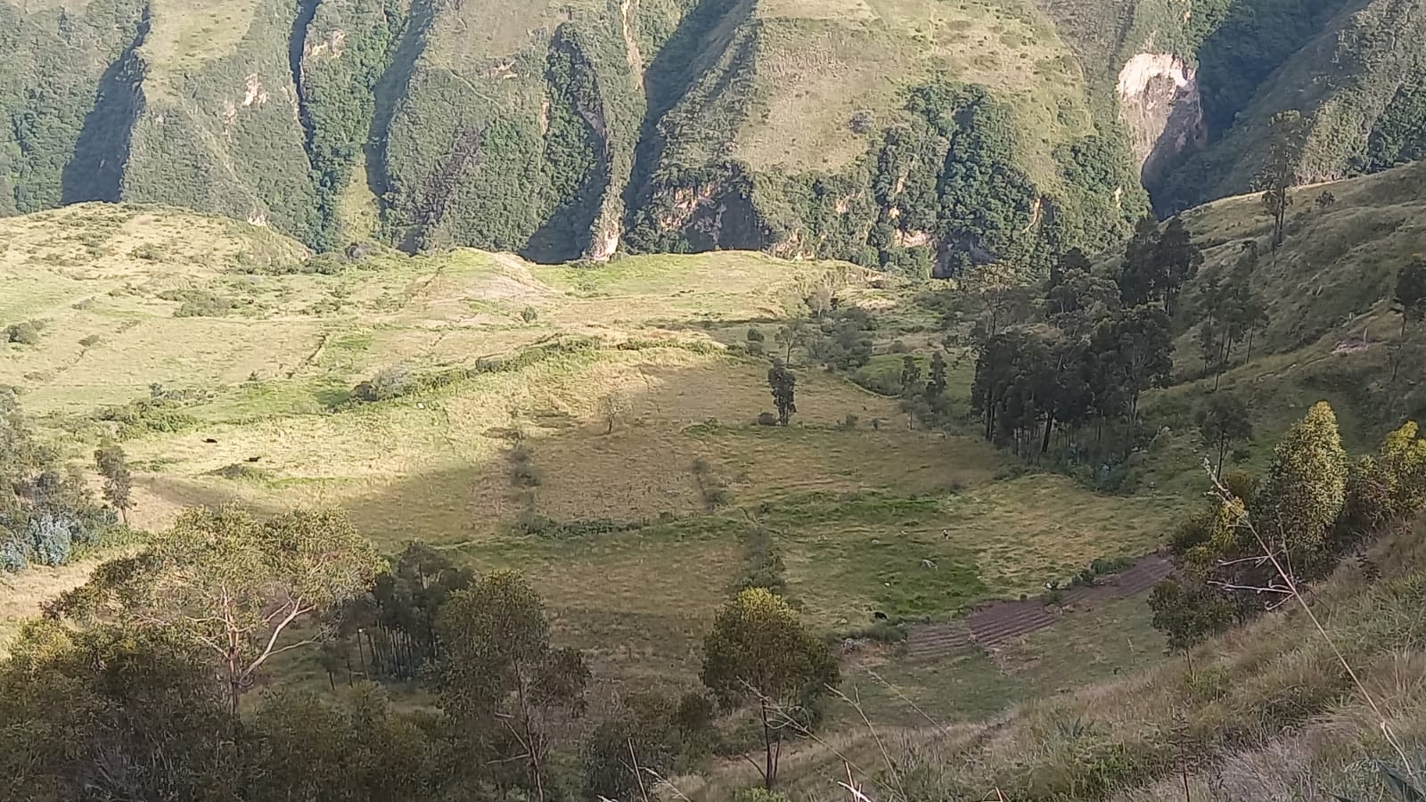Foto del inmueble en Sector Cedro Pugro