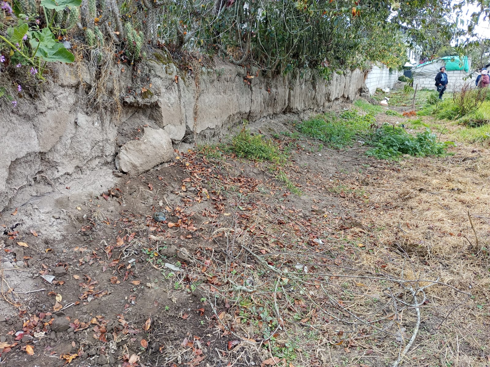Foto del inmueble en Parroquia: Matriz, Barrio Nuevo Rumihuaico