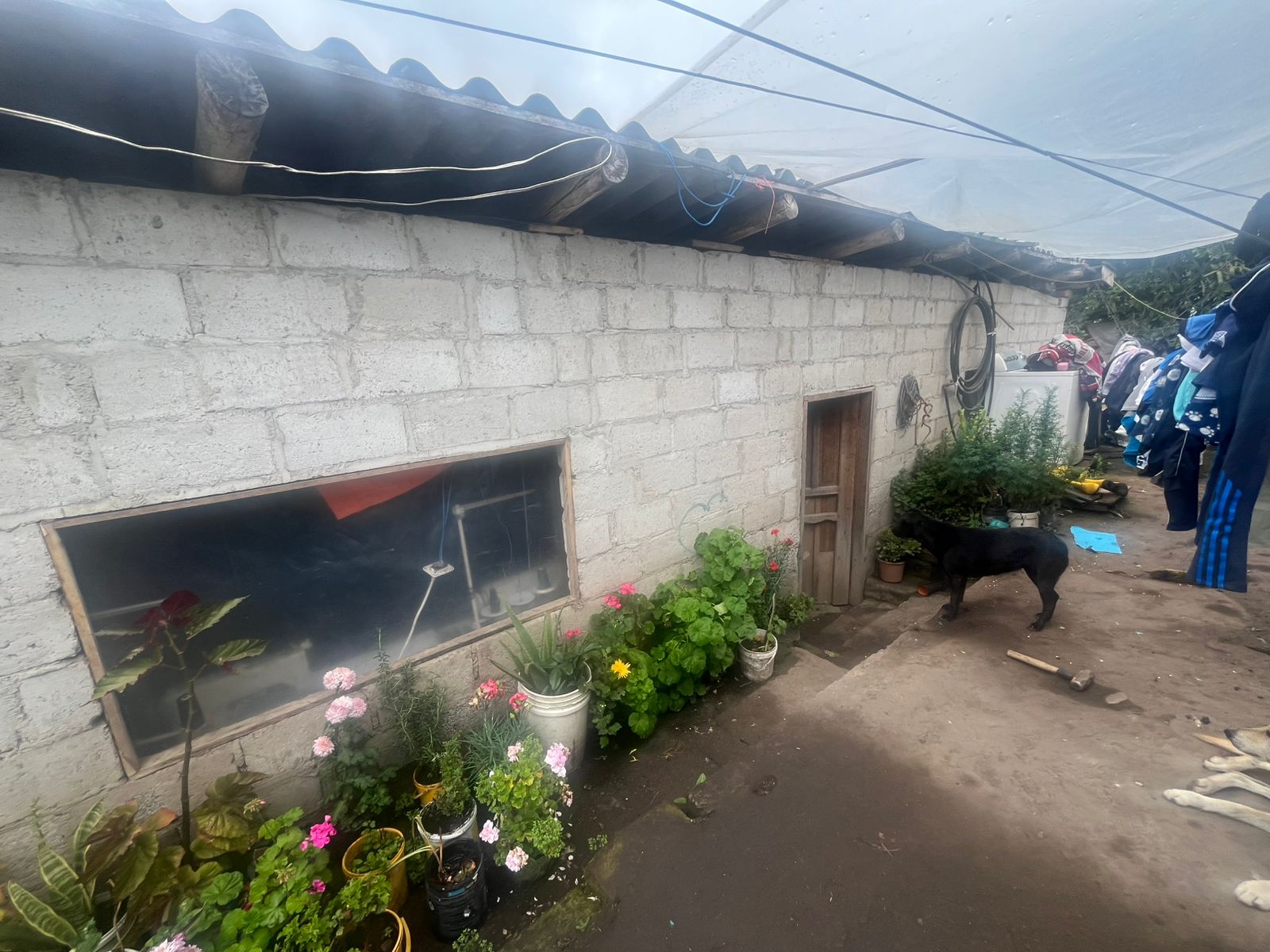 Foto del inmueble en Santa Lucia del Retorno