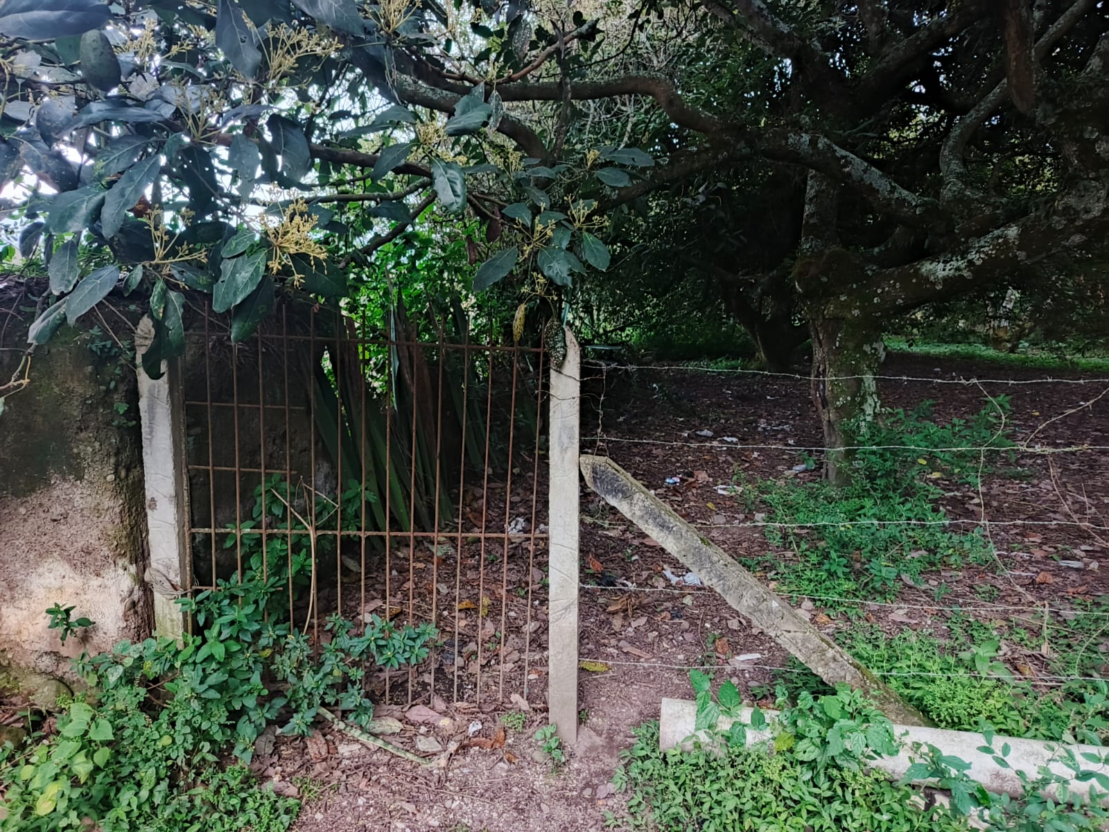Foto del portal de remates judiciales