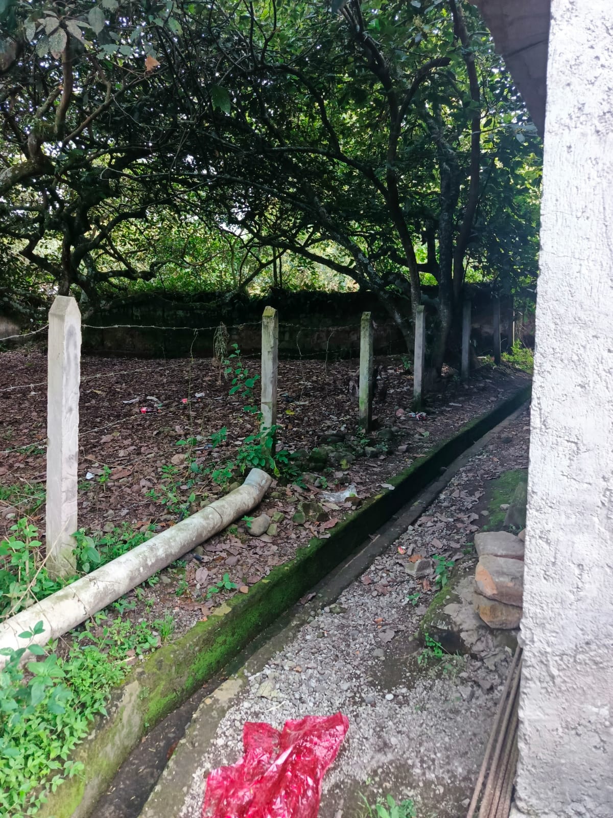 Foto del portal de remates judiciales