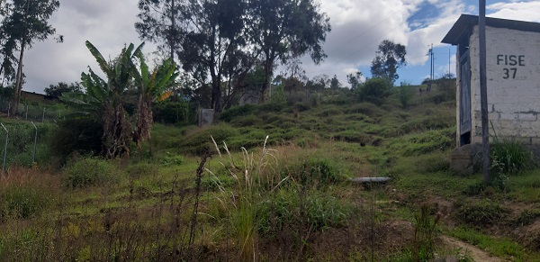 Foto del portal de remates judiciales
