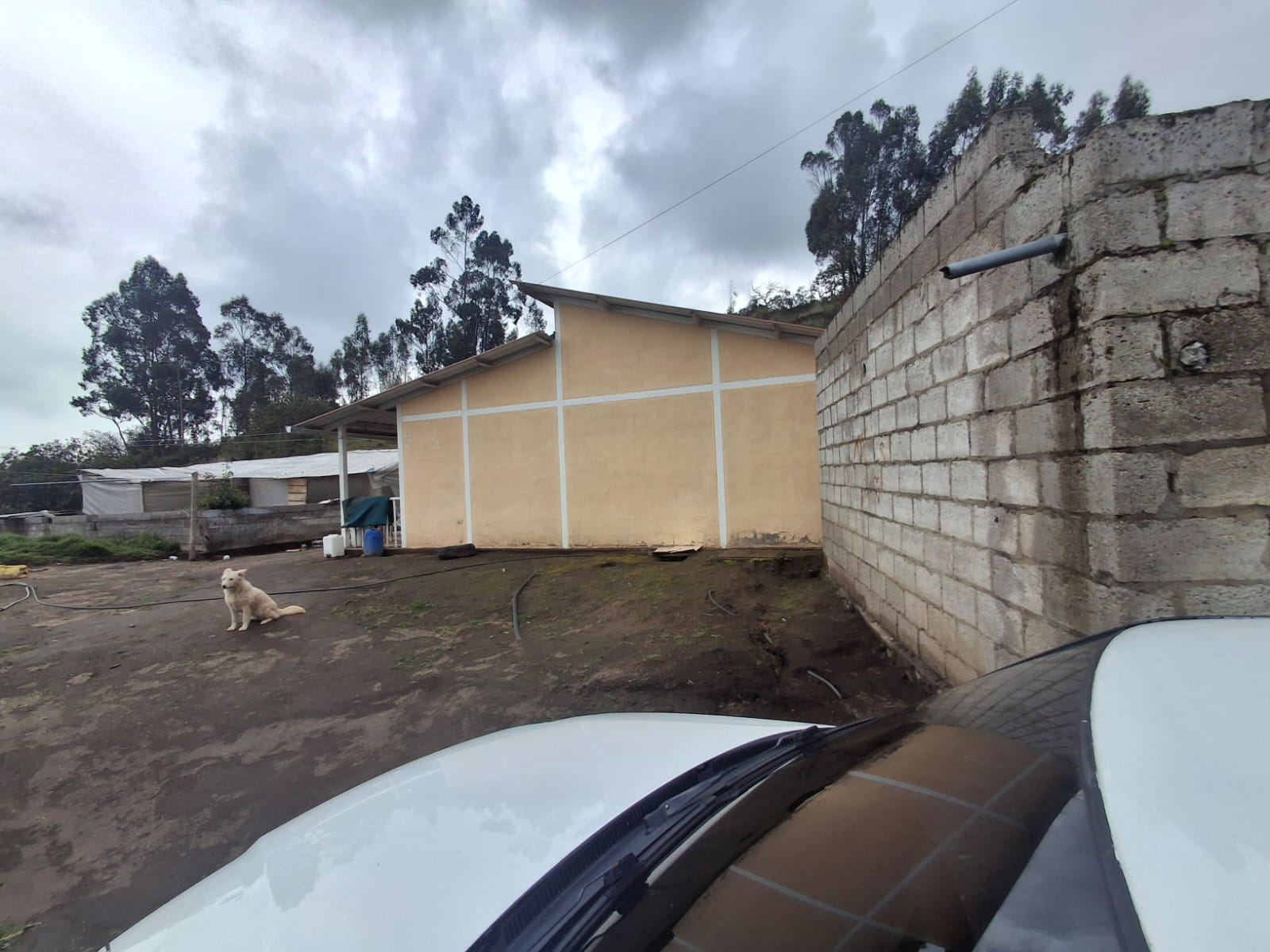 Foto del inmueble en Miraflores