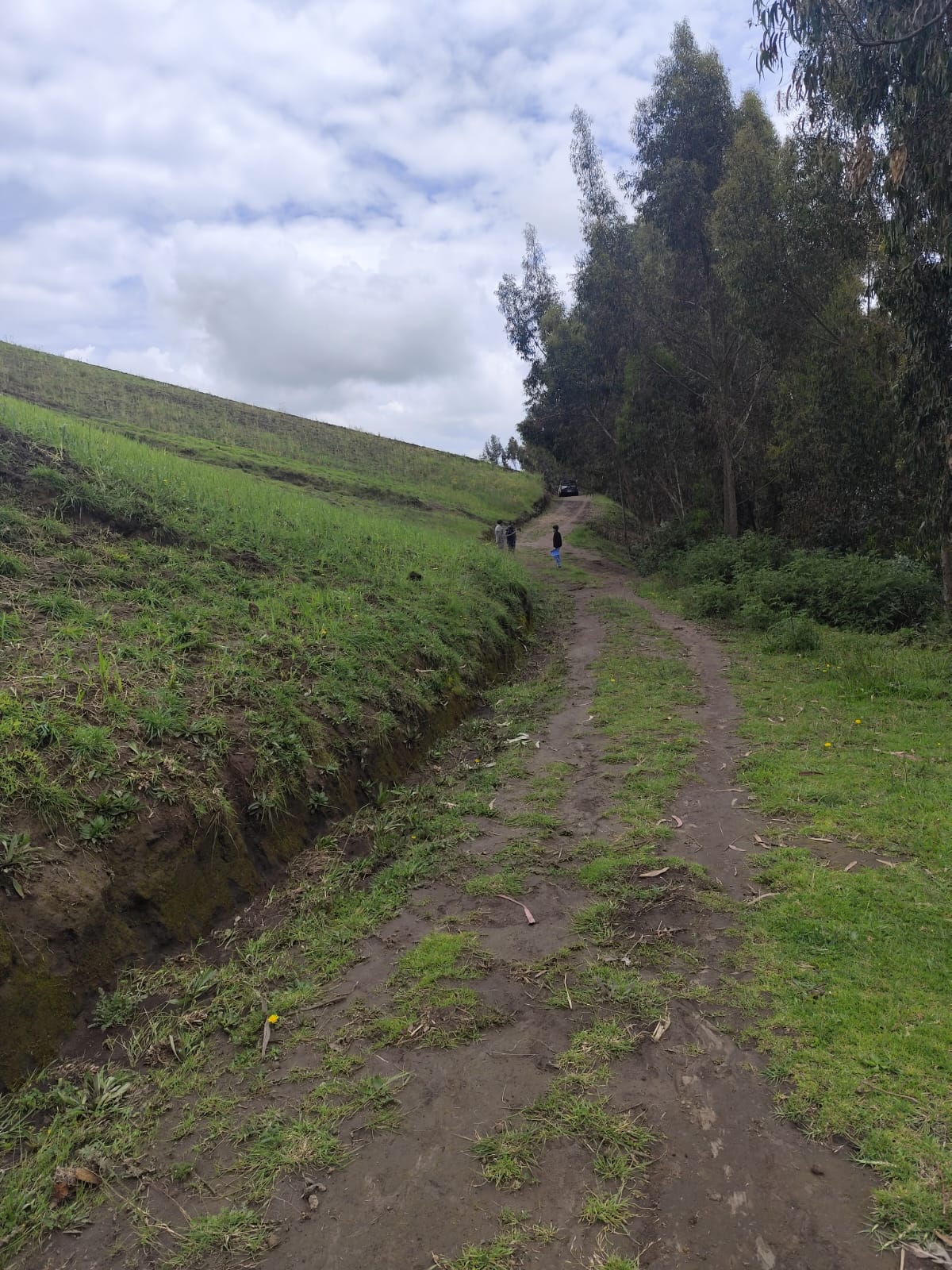 Foto del inmueble en Provincia Cotopaxi, Cantón Salcedo, Parroquia Cusubamba, Compañía Chica-rayo Loma