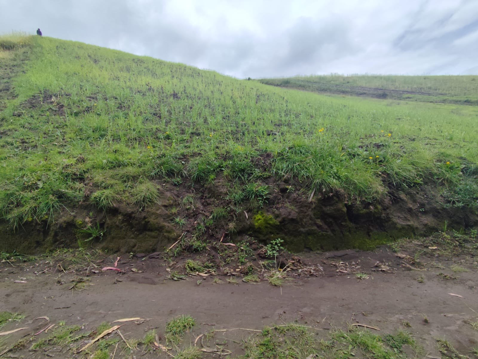 Foto del portal de remates judiciales