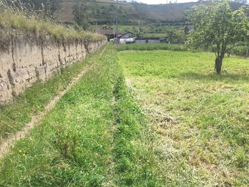 Foto del inmueble en Parroquia: San Miguelito Sector: la Esperanza