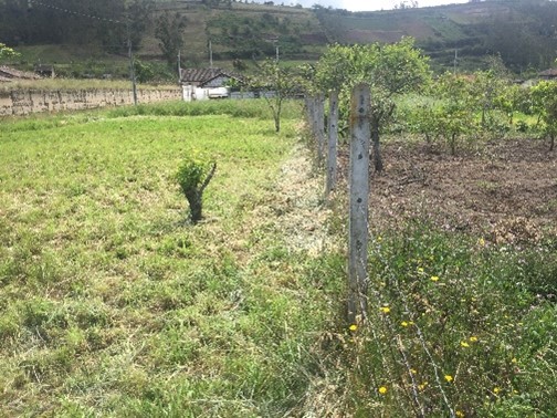 Foto del portal de remates judiciales