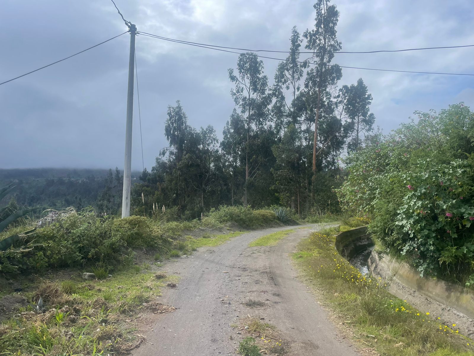 Foto del portal de remates judiciales
