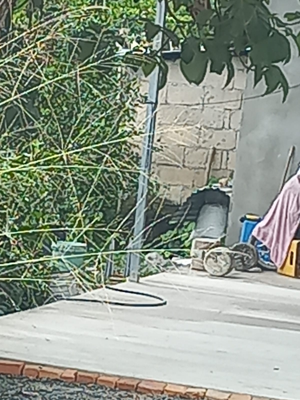 Foto del portal de remates judiciales