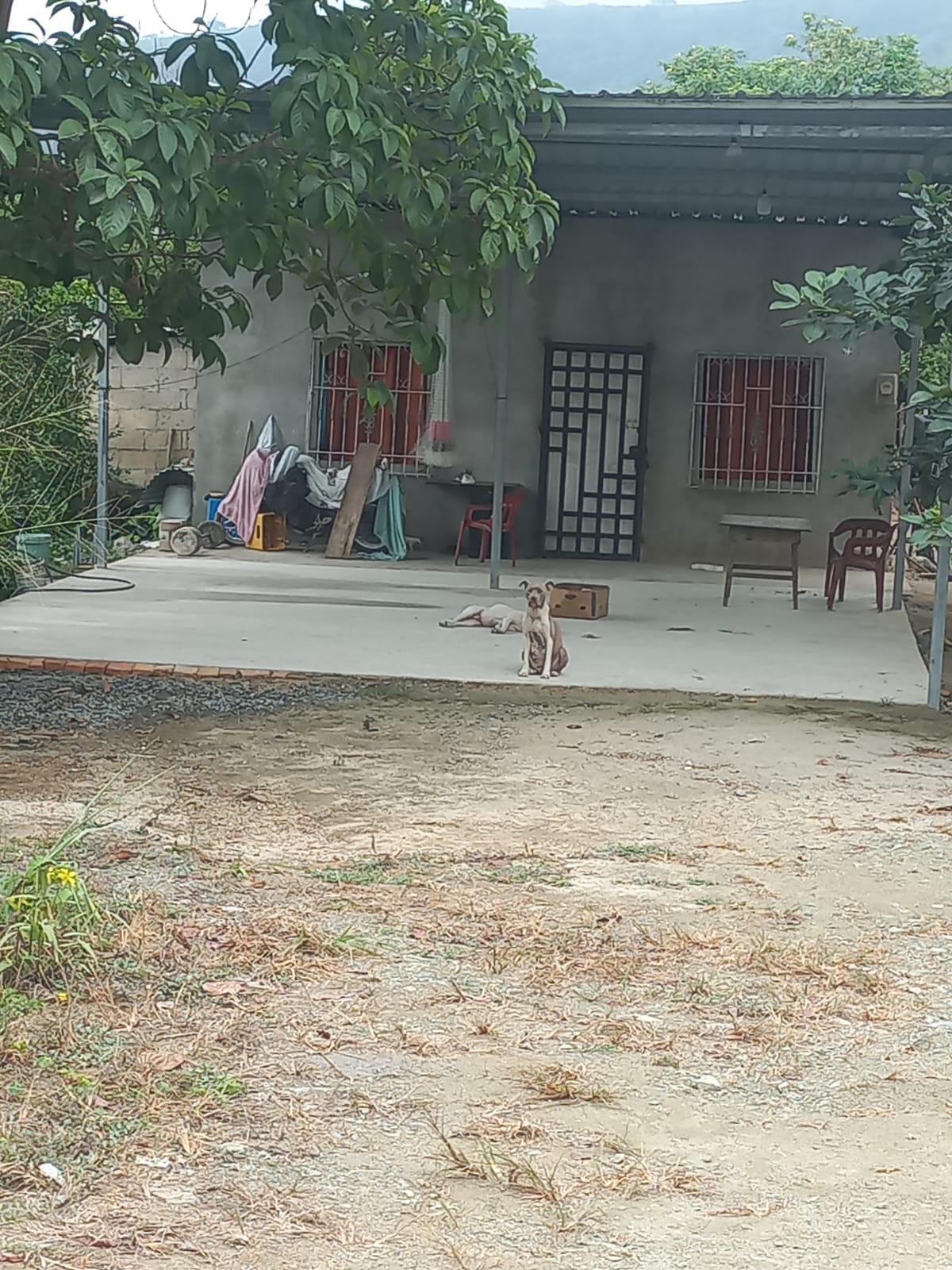 Foto del inmueble en Parroquia Palmales