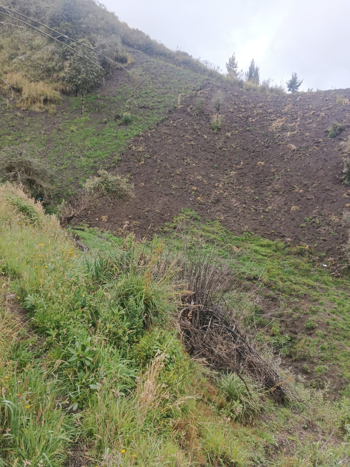 Foto del inmueble en Salinas -apahua