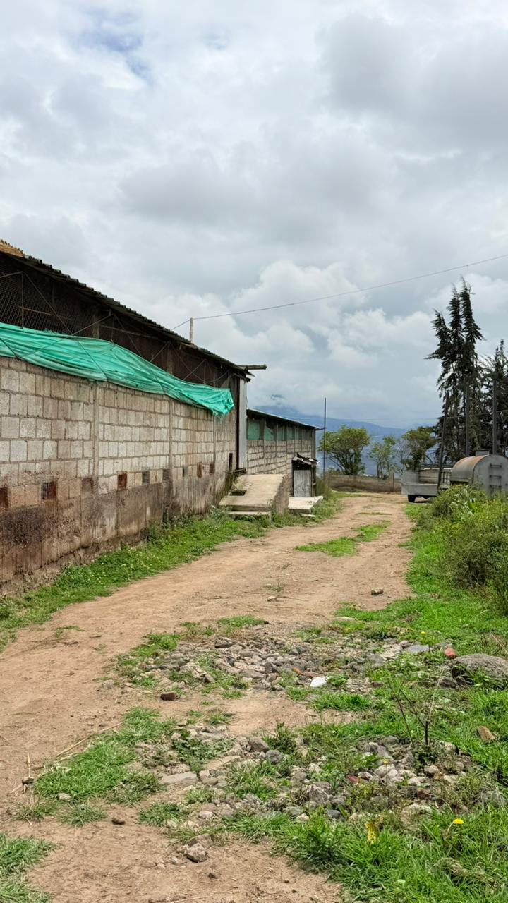 Foto del inmueble en Samanga