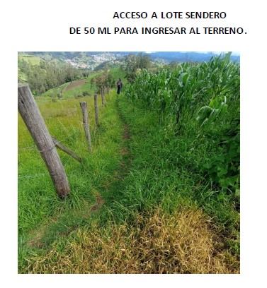 Foto del portal de remates judiciales