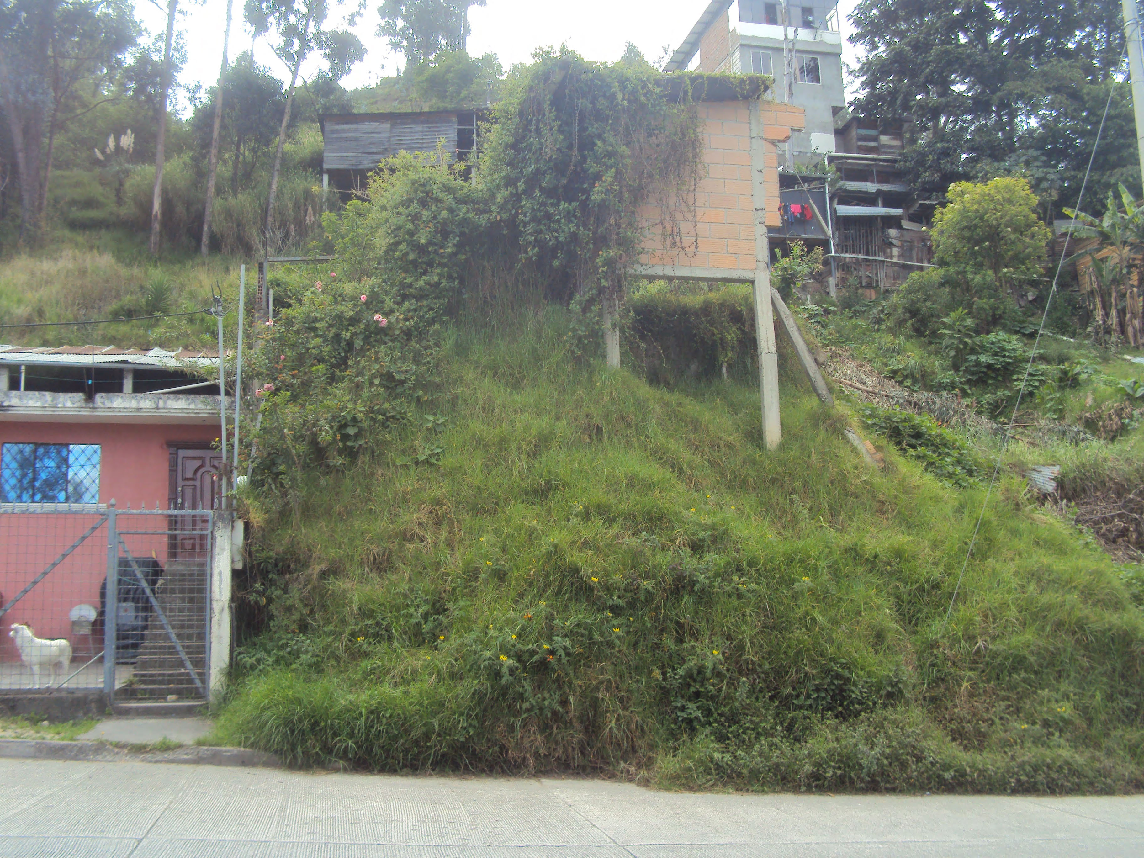 Foto del inmueble en Urbano
