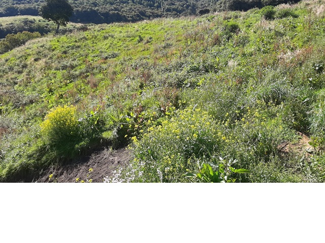 Foto del inmueble en El Paramo