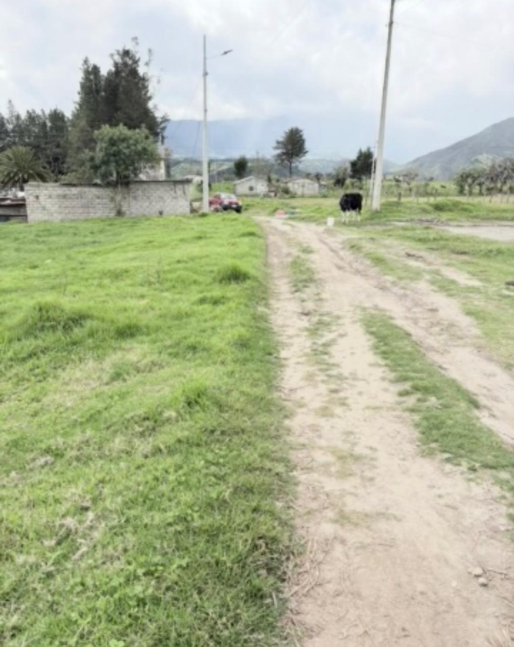 Foto del portal de remates judiciales