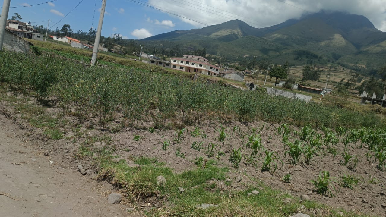 Foto del portal de remates judiciales