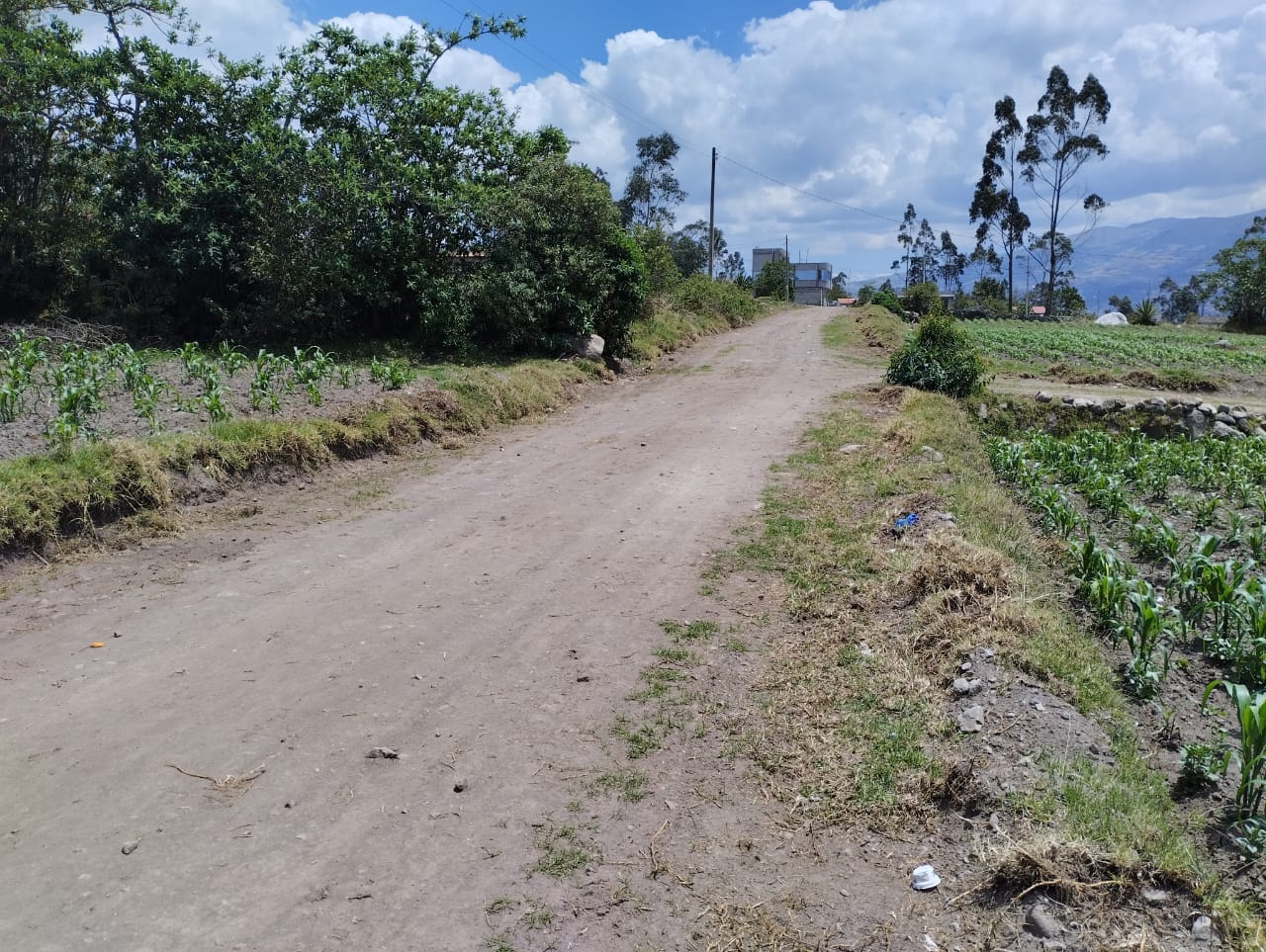 Foto del portal de remates judiciales