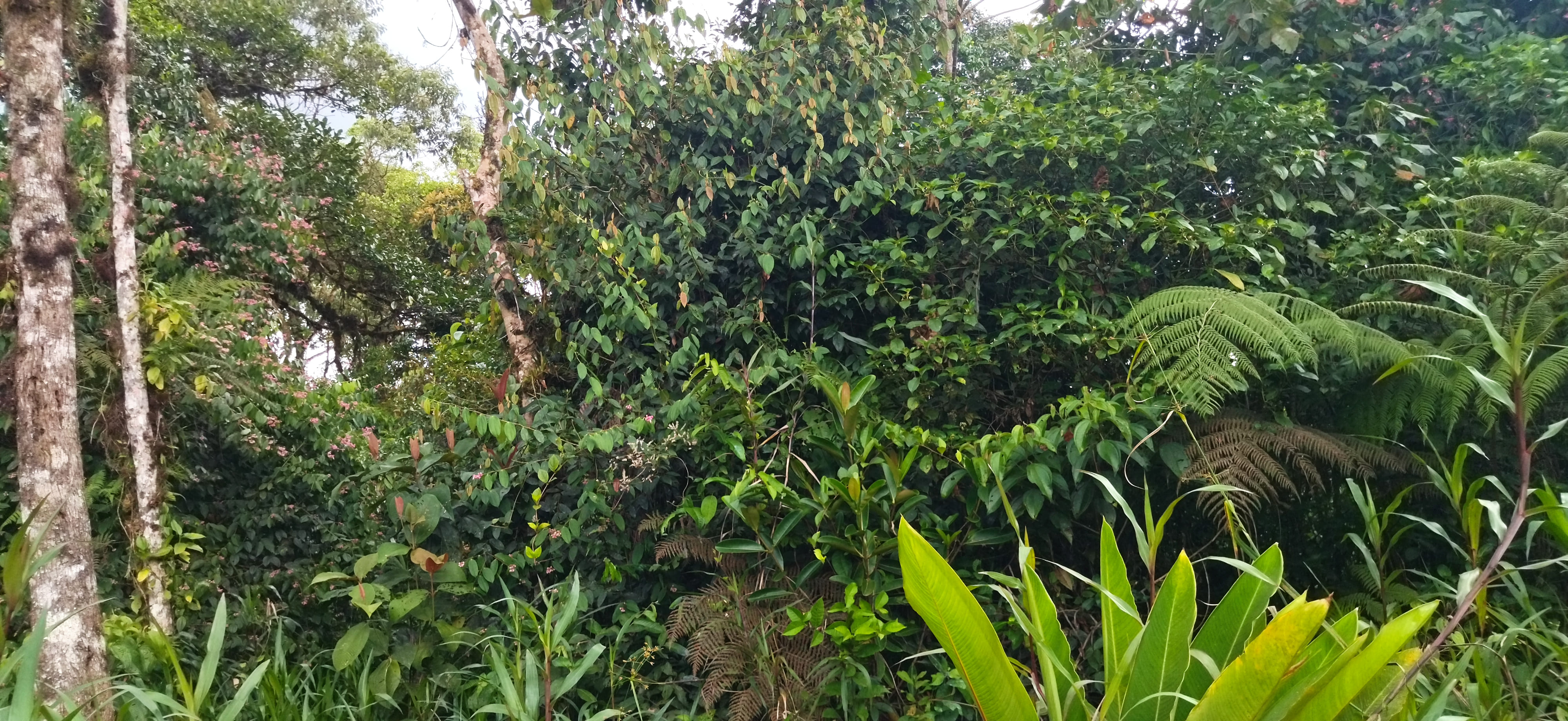 Foto del inmueble en Parroquia Sangay