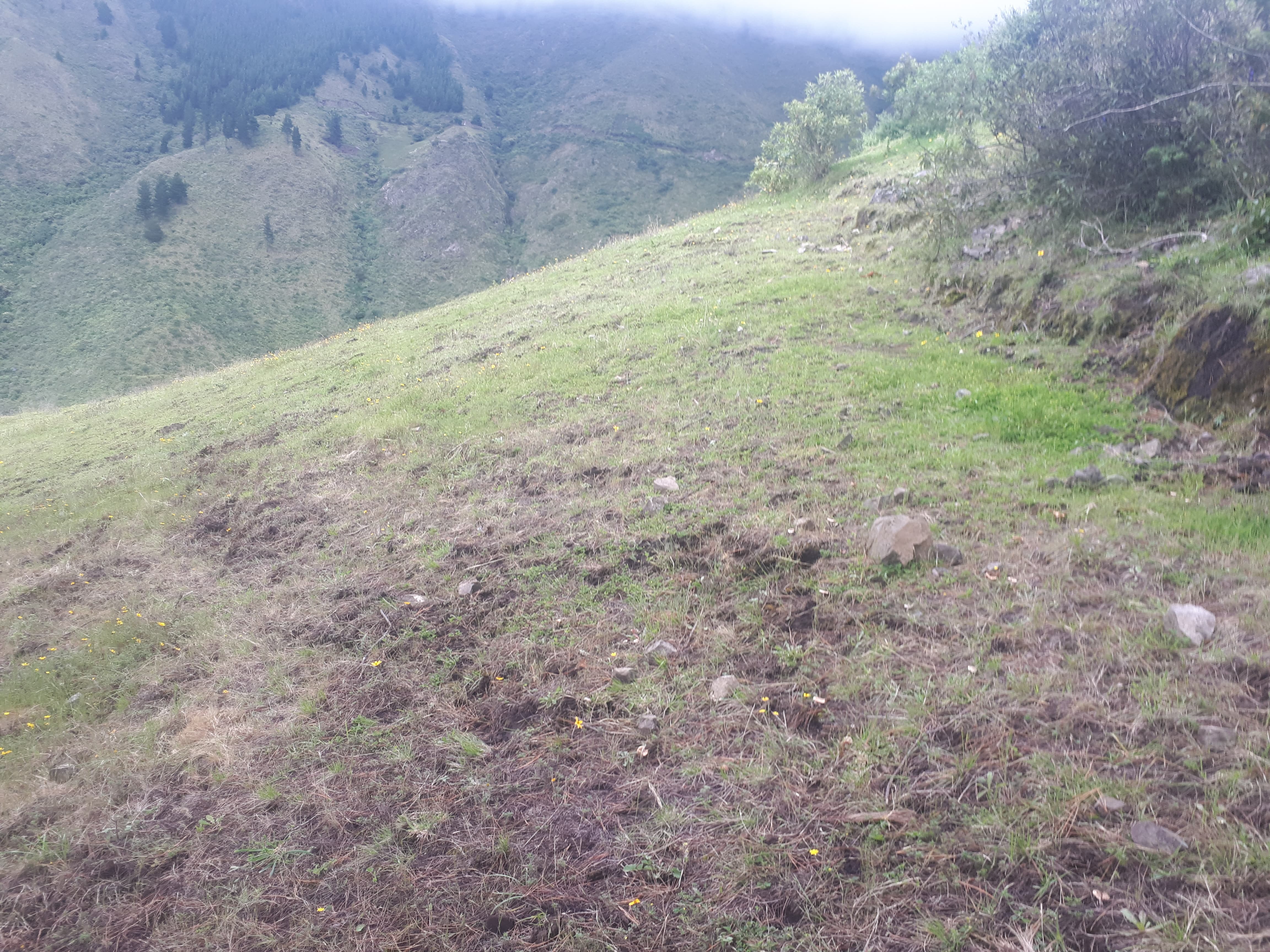 Foto del inmueble en Sector Rural de Queseras