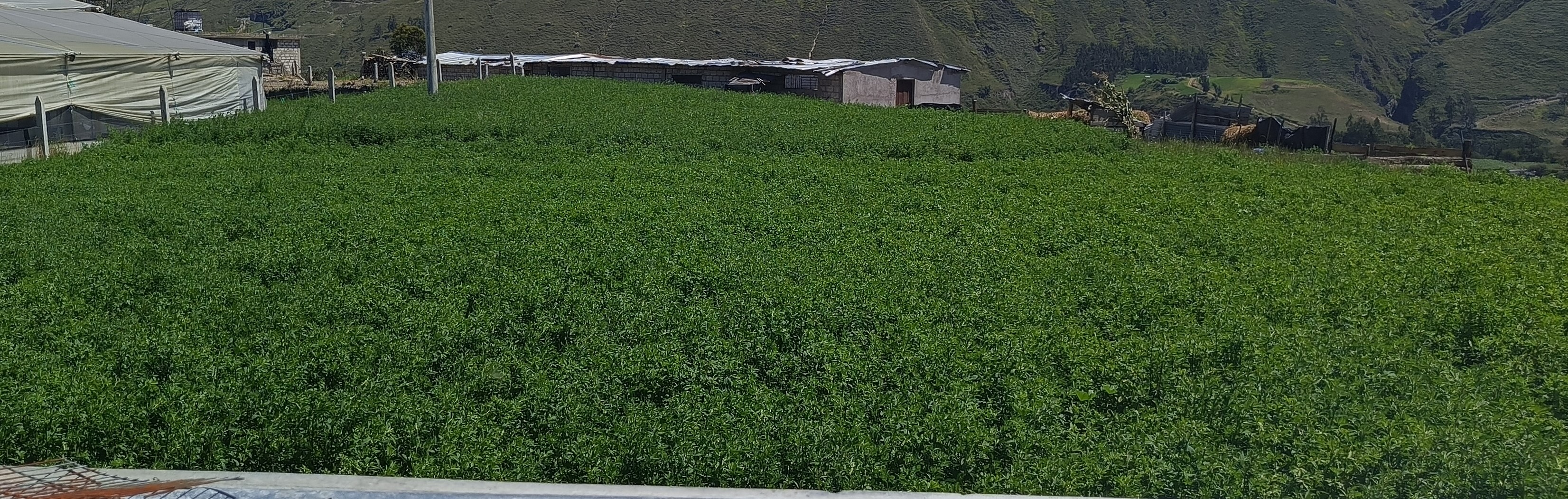 Foto del portal de remates judiciales