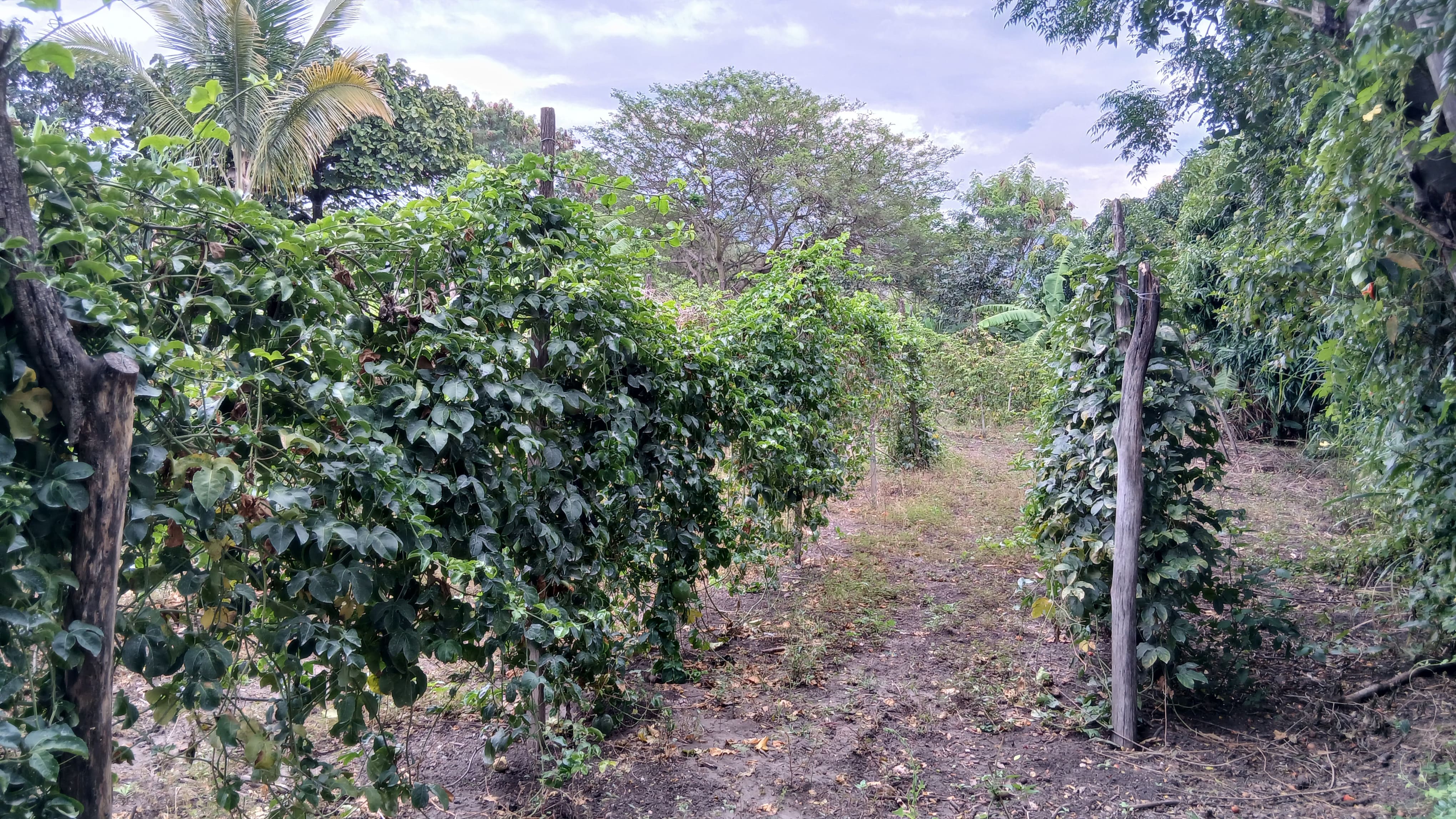 Foto del portal de remates judiciales
