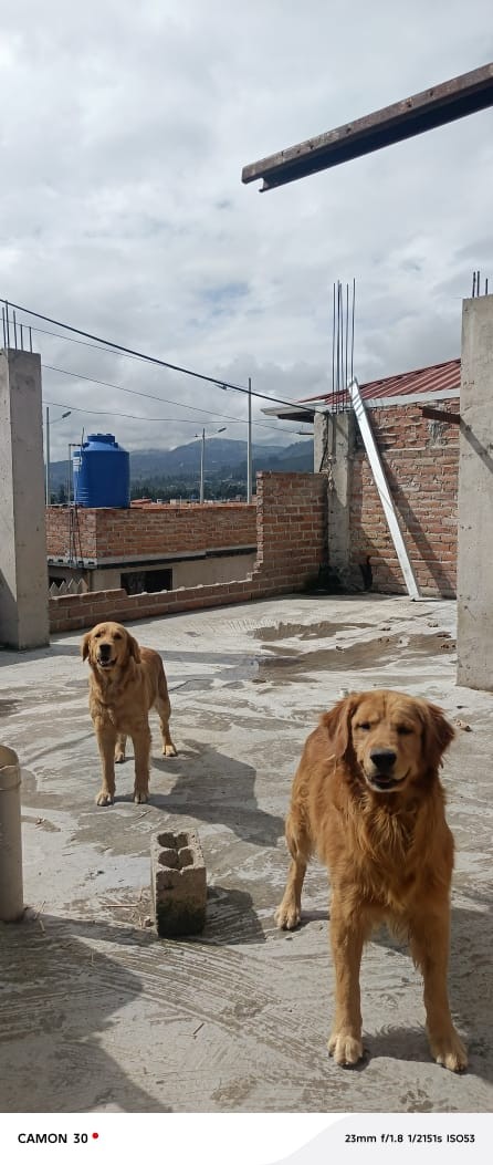 Foto del portal de remates judiciales