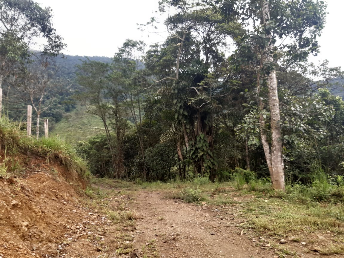 Foto del inmueble en Nueva Esperanza, Parroquia El Porvenir