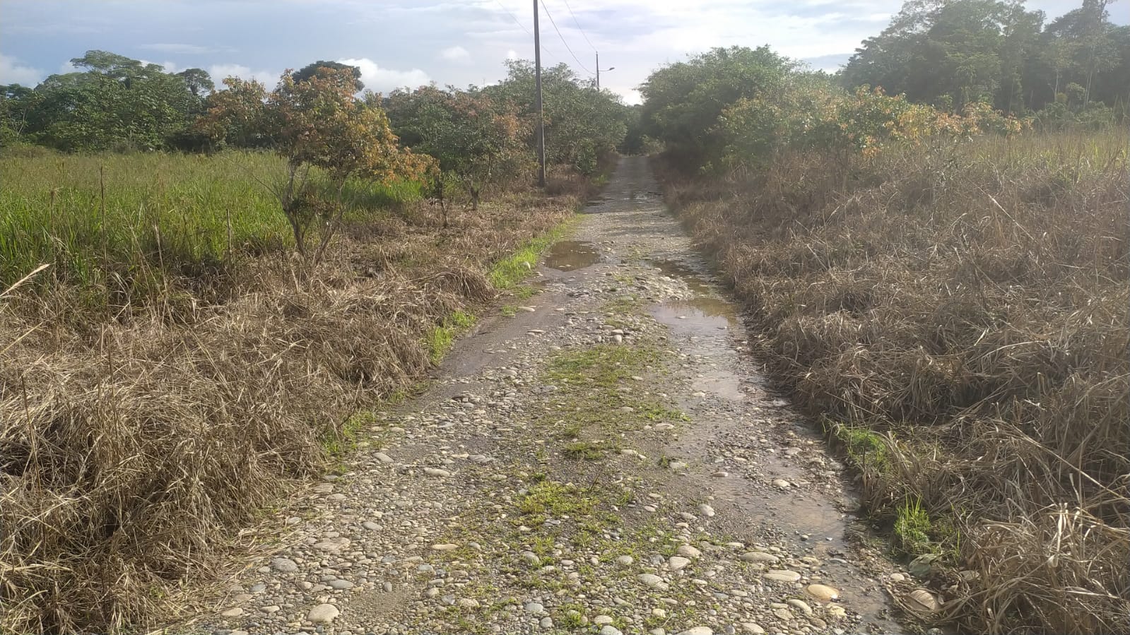 Foto del inmueble en Junto Al Parque Perla